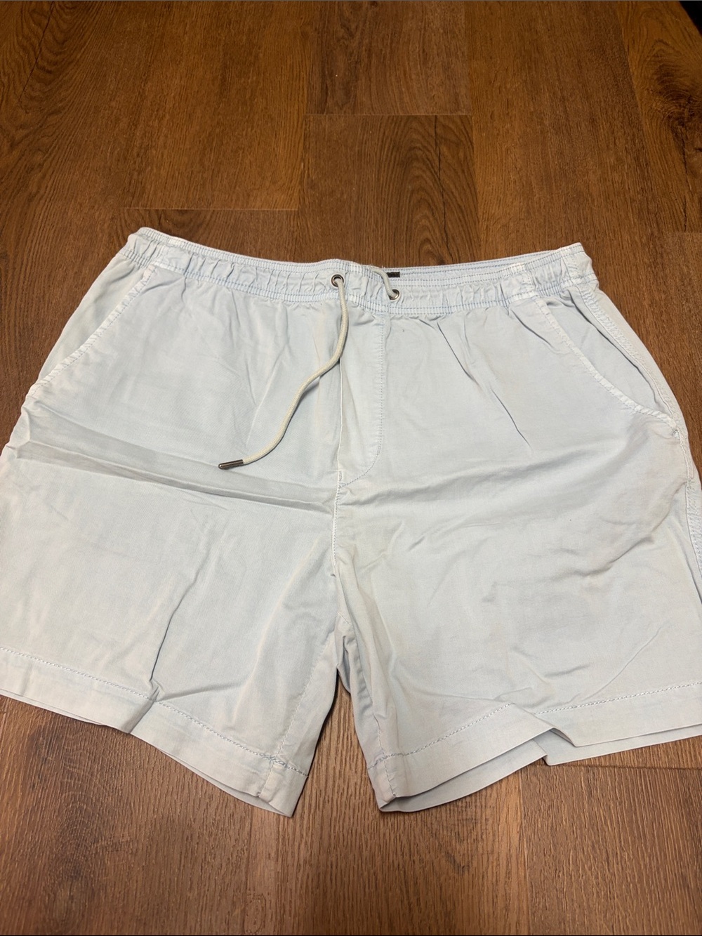 American Eagle Outfitters Light Blue Drawstring Flat Front Shorts